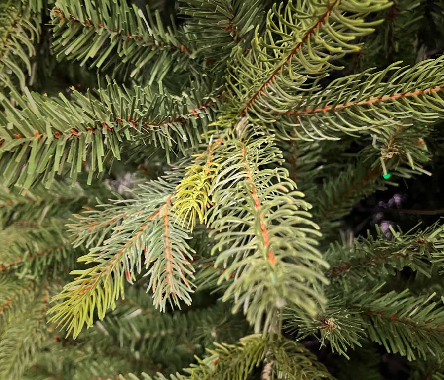 Help Guide For Buying An Artificial Christmas Tree Seasons Christmas