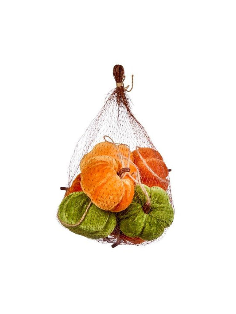 7pk MiniKin Pumpkins in bag