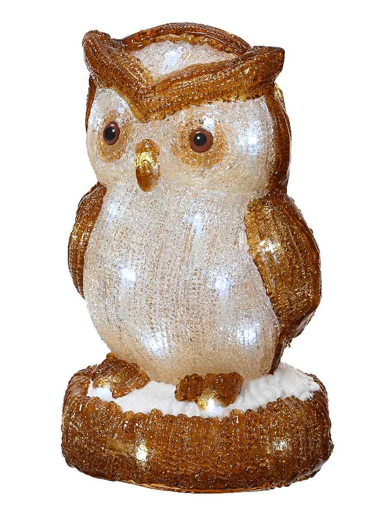 24cm B/O LED Owl Acrylic - White LEDs
