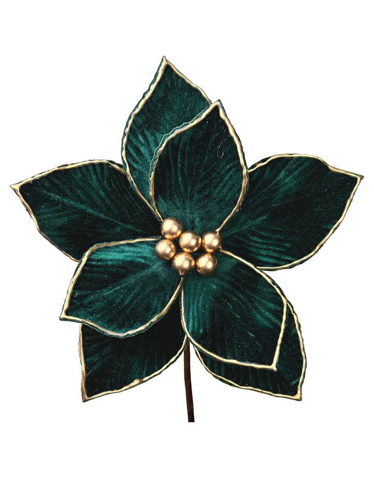 25cm Gold Edge Poinsettia - Green