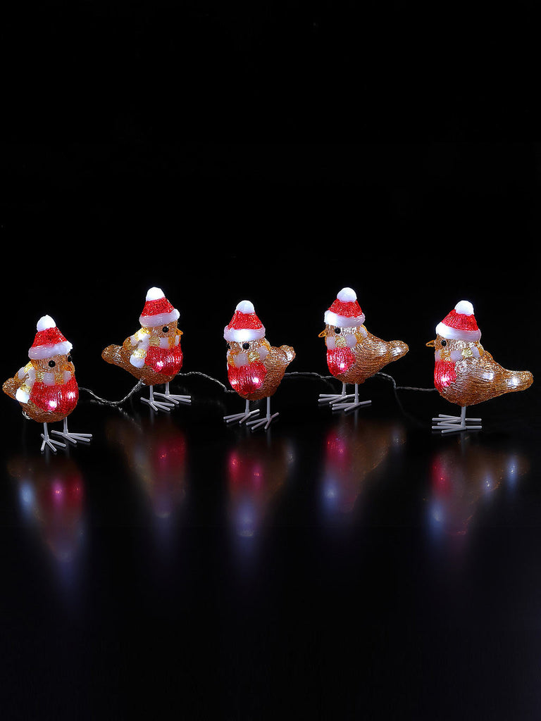 Set of 5 Acrylic Robins with Hat and Scarf