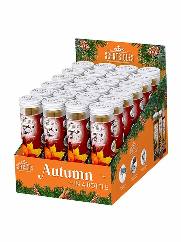 Pk 6 Christmas ScentSicles - Pumpkin & Cider