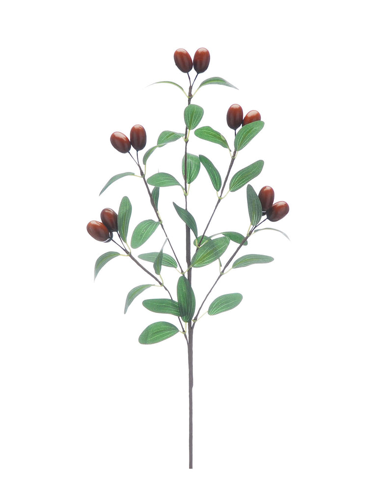 52cm Light Brown/Green Olive Pick