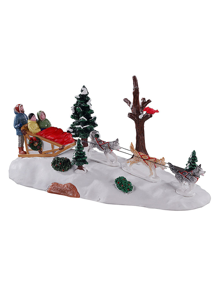 Dog Sledding Afternoon