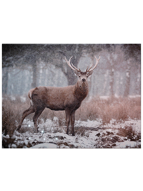 Fibre Optic Canvas with Winter Stag Scene