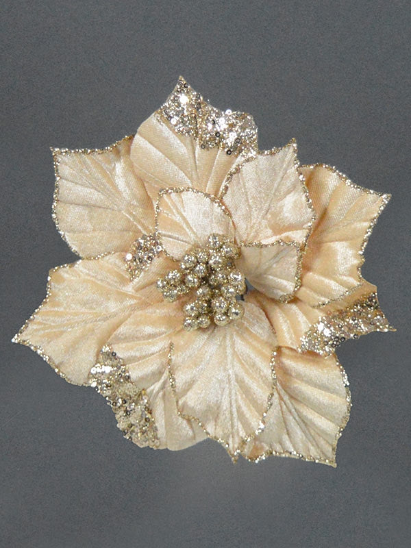 22cm Clip Velvet Poinsettia - Champagne