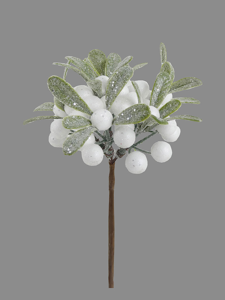 Mistletoe Berry Pick