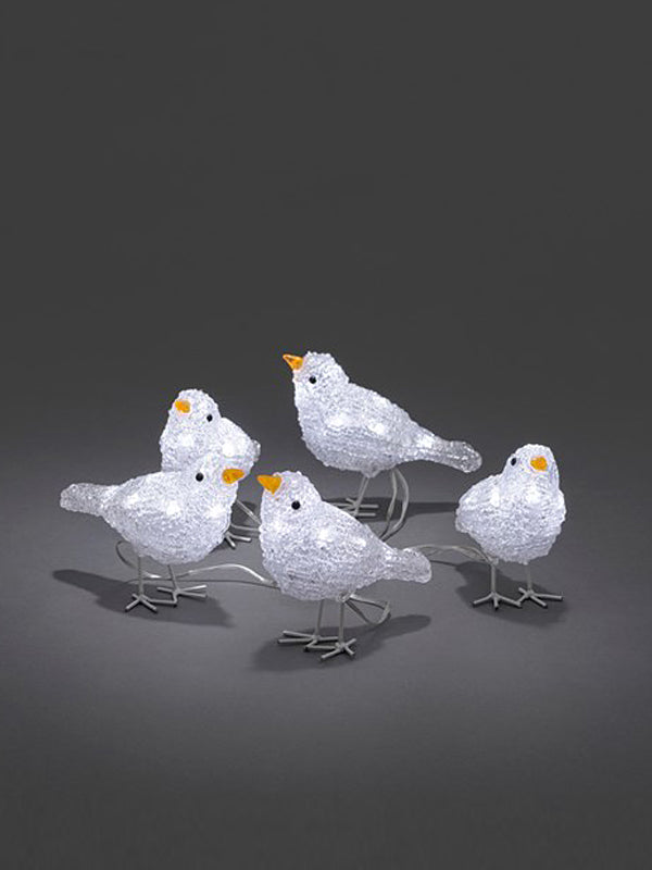 Set of 5 LED Acrylic Birds Set