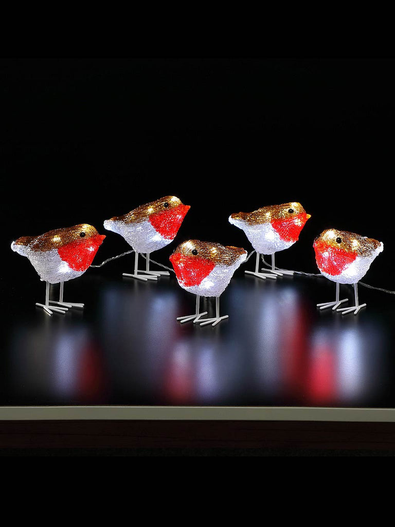 Set of 5 Acrylic Robins With White Leds