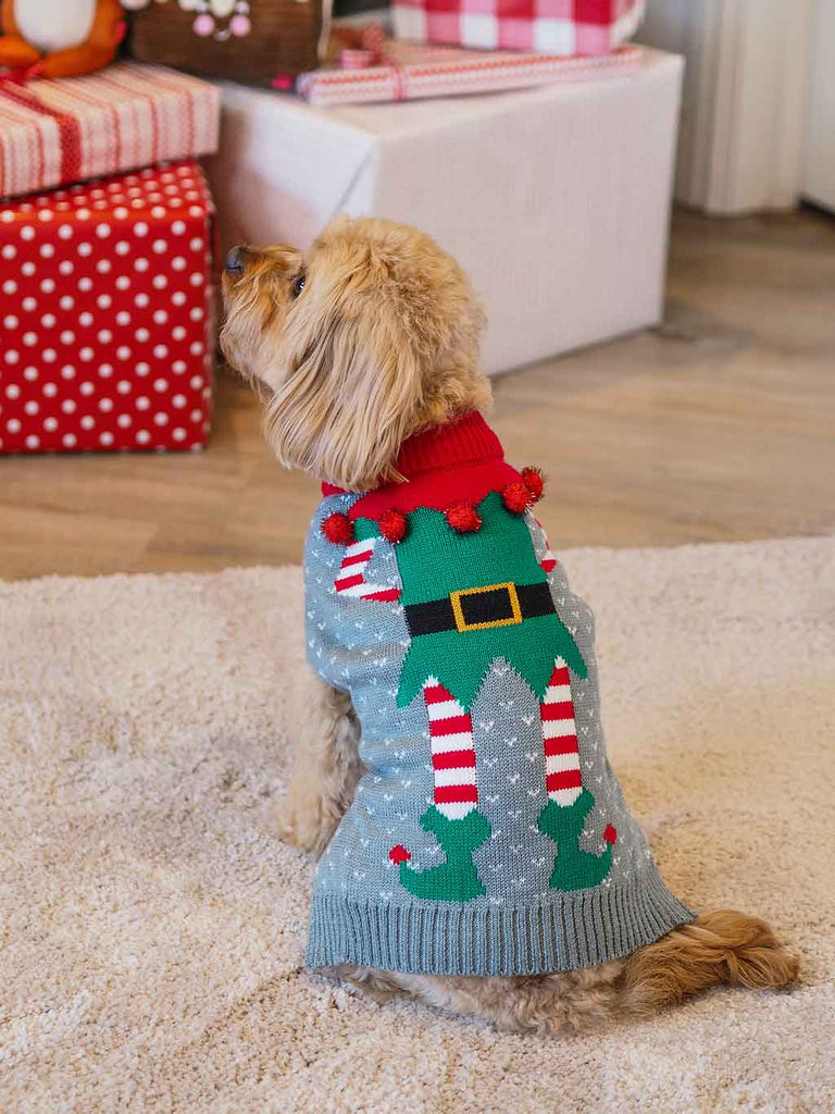 Merry Elf Dog Jumper