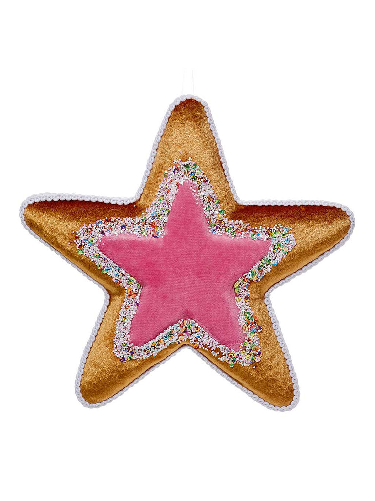 19 x 19cm Iced Gingerbread Star Biscuit Hanger