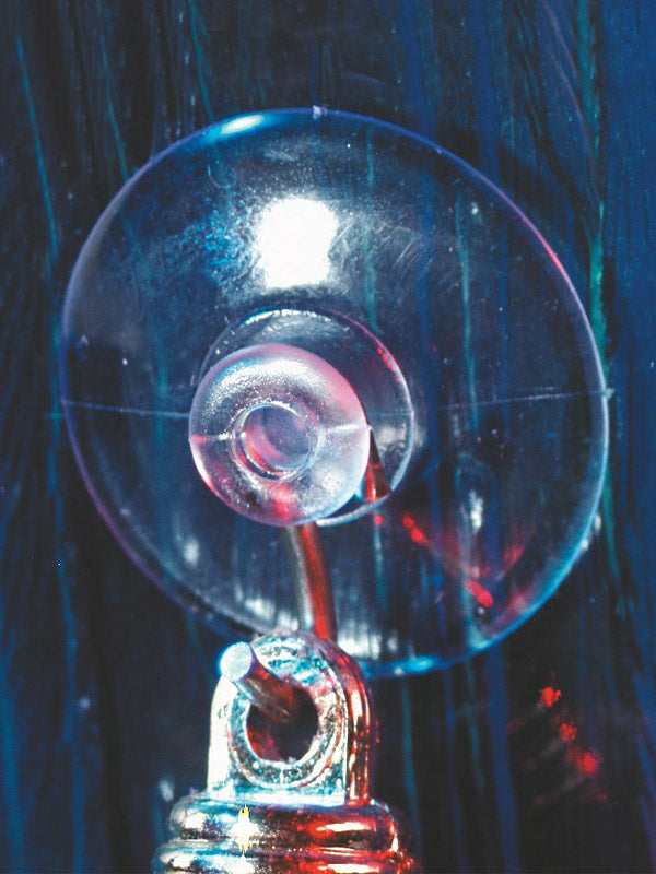 12 x 22mm Suction Cup with Metal Hanger