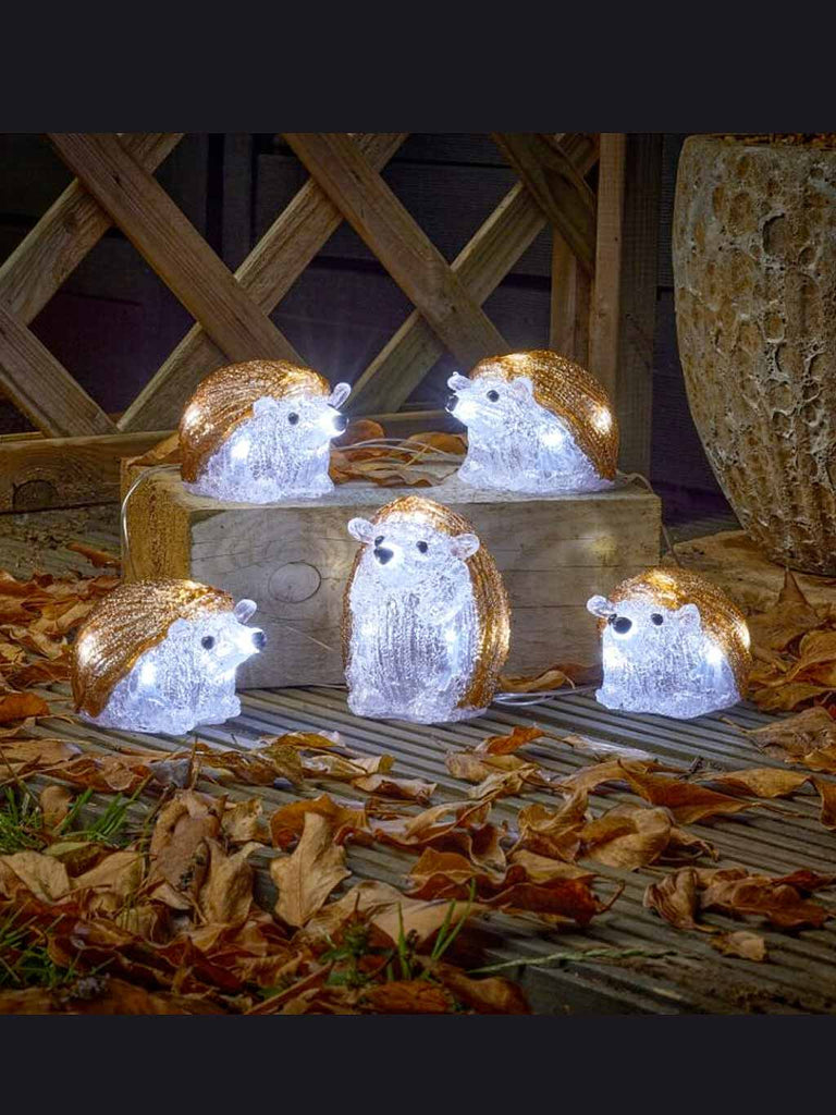 InLit Ice Hedgehogs - Set of 5