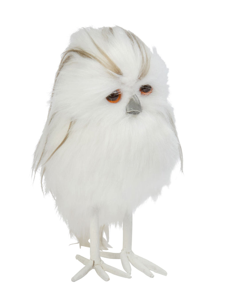 Snowy Owl
