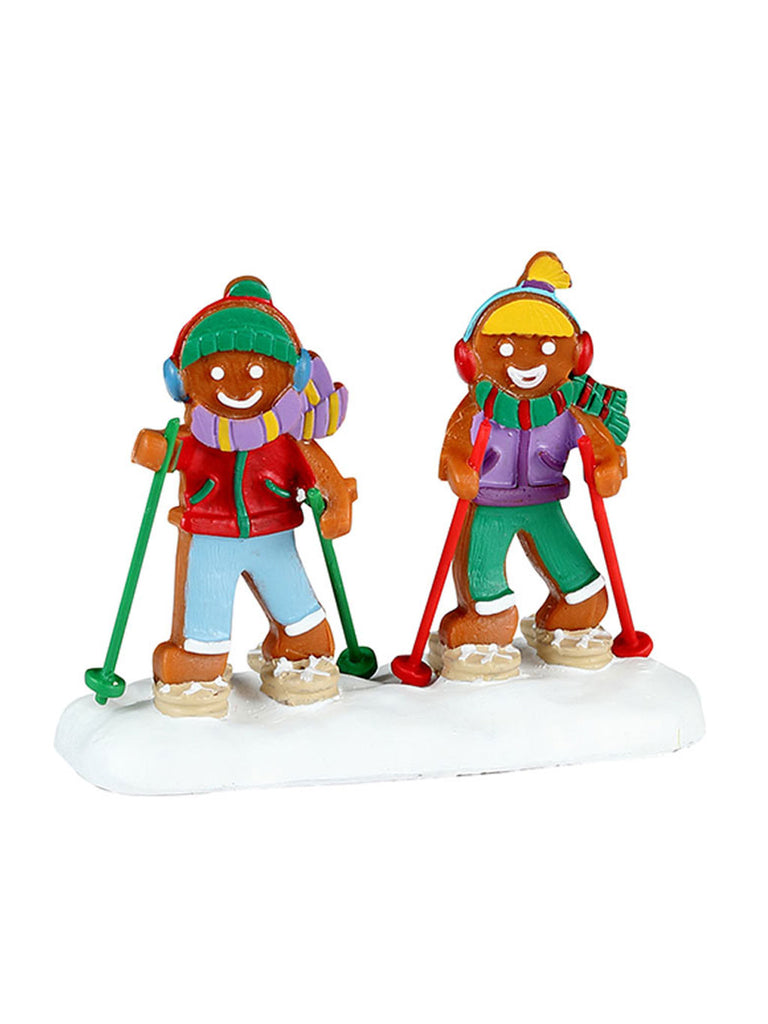 Snowshoe Walkers