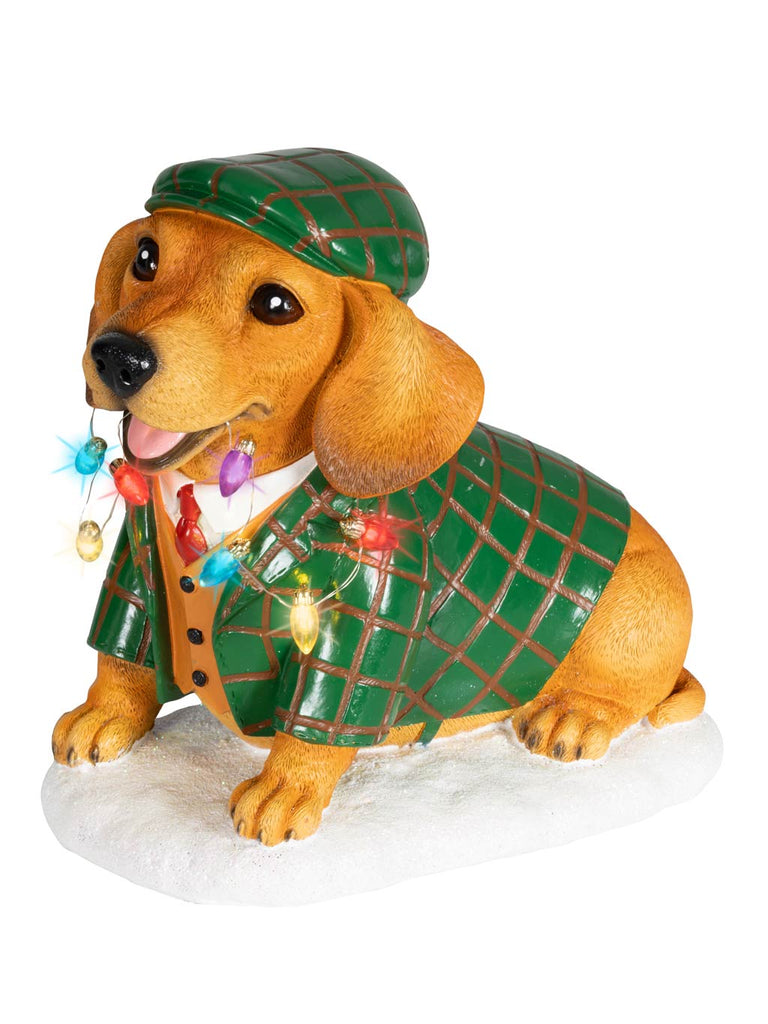 24 x 24cm B/O Micro LED Dog in Flat Cap Ornament