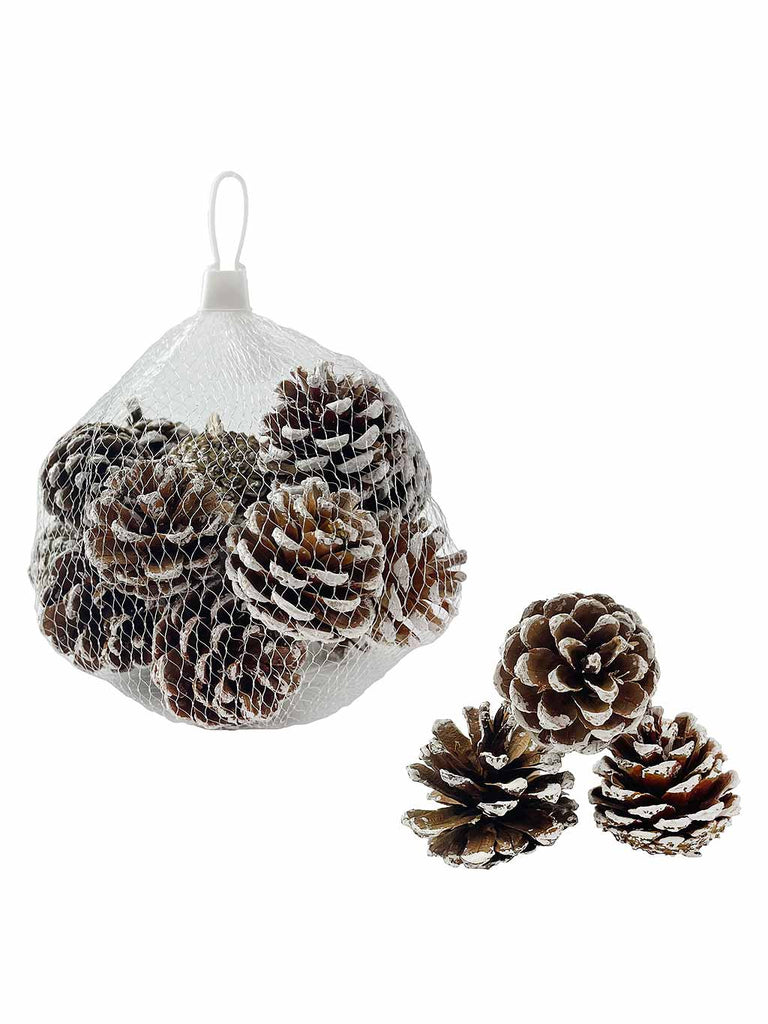 Frosted Pinecones In A Bag - 200g