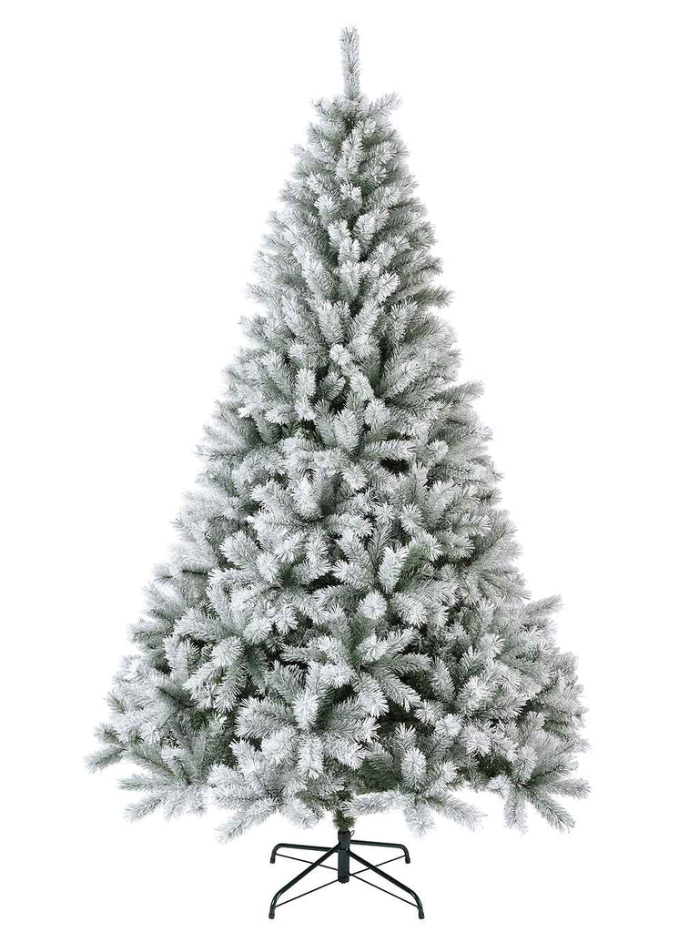 1.8M (6ft) Frosted Canada Spruce