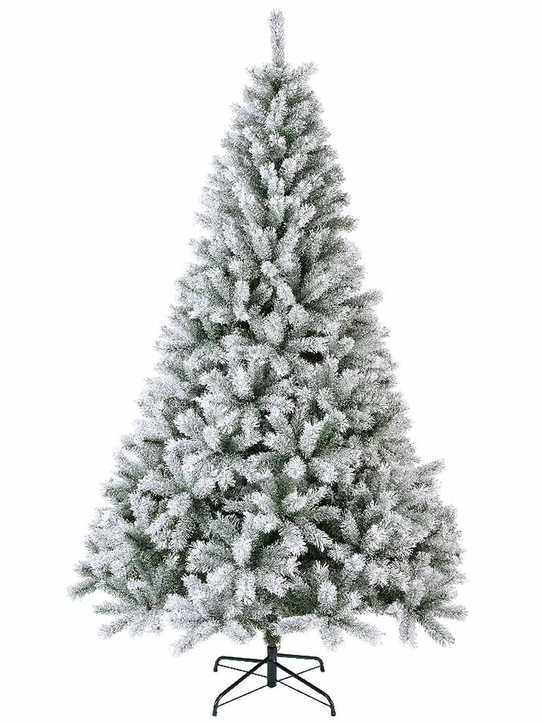 2.4M (8ft) Frosted Canada Spruce