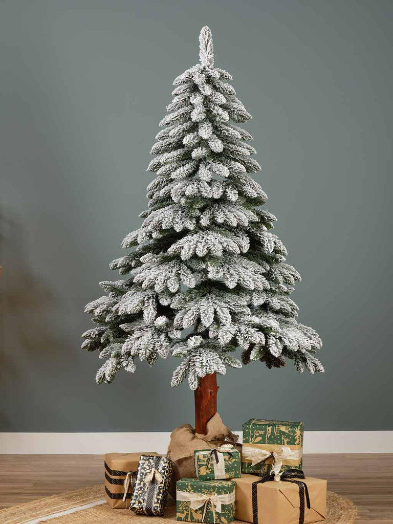 Snowy Tora Pine with Wooden Stem