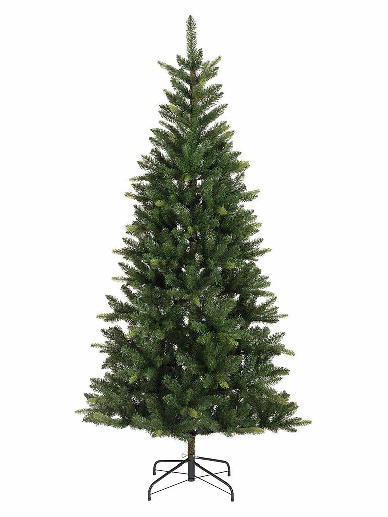 2.1M (7ft) Straja Fir Tree