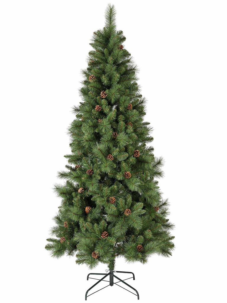 Norwich Pine Christmas Tree