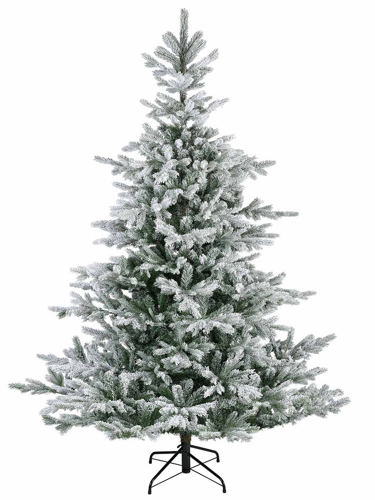 Everlands 2.1M (7ft) Snowy Grandis Fir Christmas Tree
