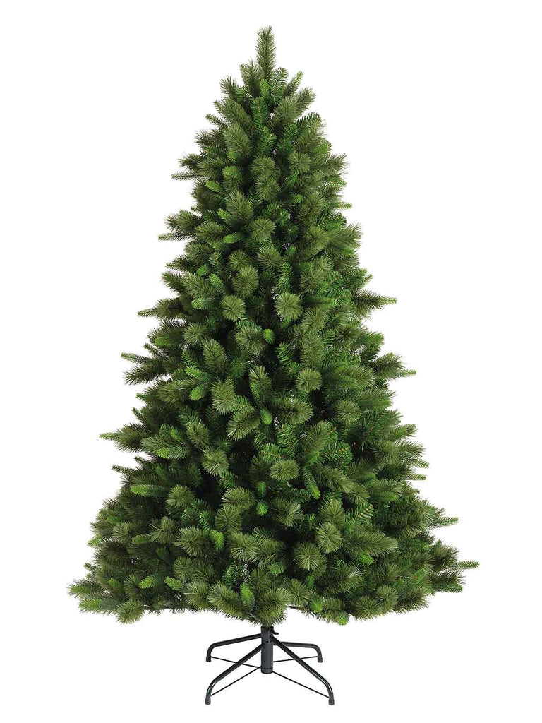 2.1M (7ft) Edmonton Spruce Tree