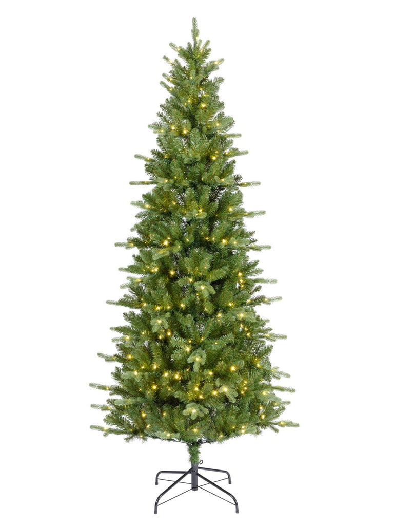 2.25M Pre-Lit Killington Fir with Warm White/Multicolour LEDs