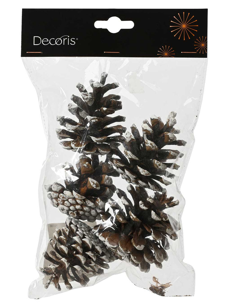 Pk 5 Snow Tipped Natural Pinecones