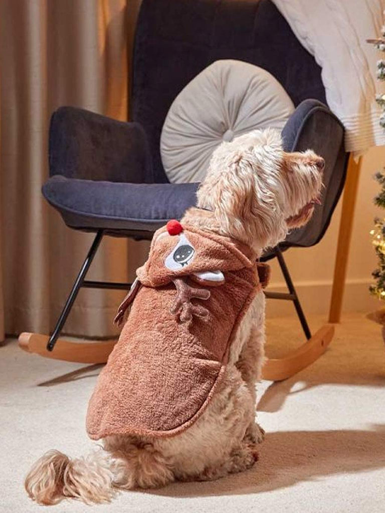 Rudy Hoodie Dog Jumper