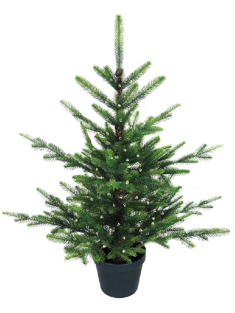 3' Nordman Fir Pre-Lit Potted Tree - 50 Warm White LEDs