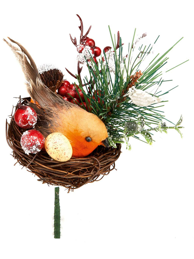 Robin In Nest Pick