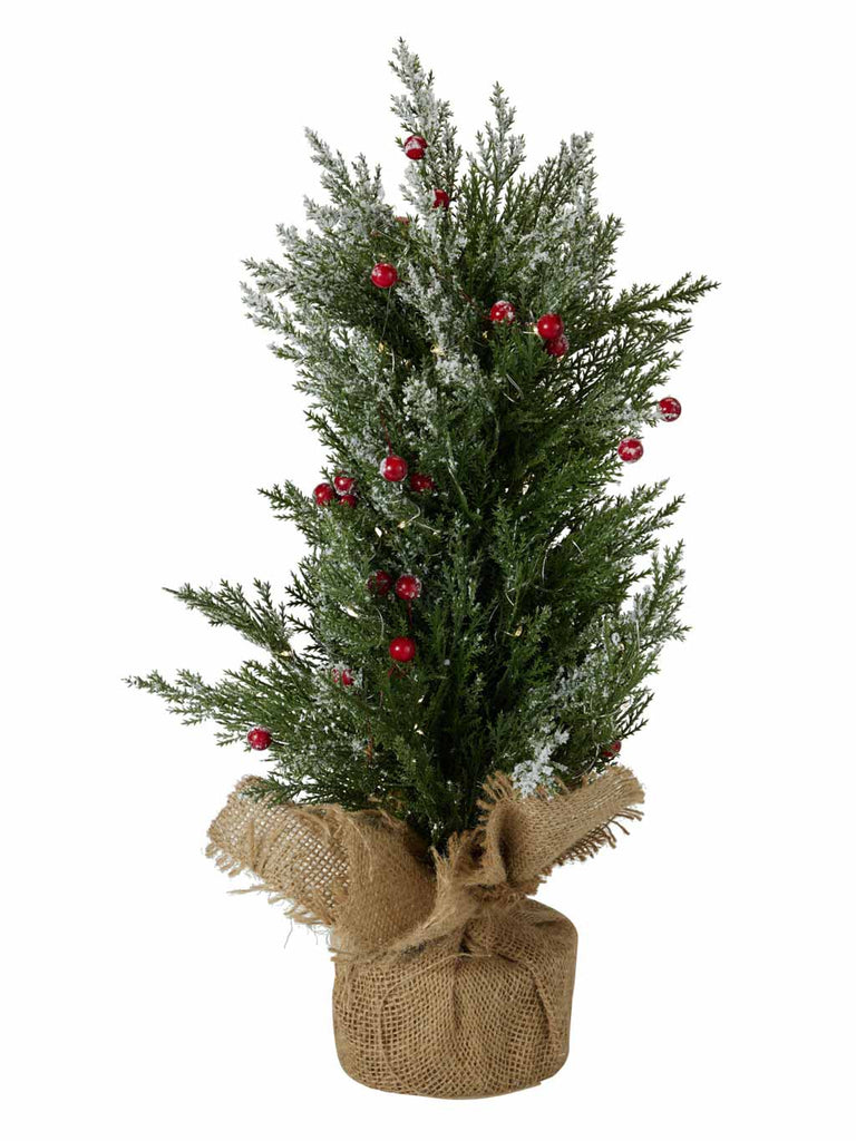 30 x 50cm Christmas Tree with LEDs & Snow