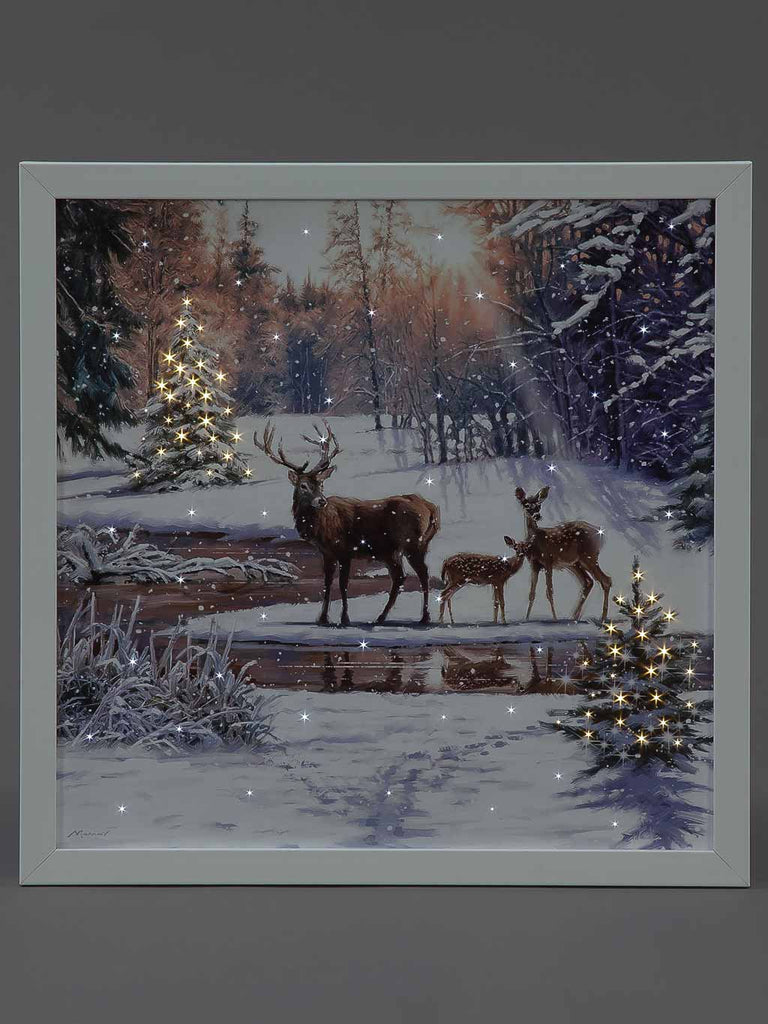 B/O Fibre Optic 40x40cm Canvas - Deer Family