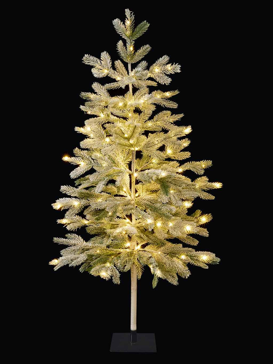 Lit Pine Needle Tree with Warm White LEDs – Seasons Christmas Outlet