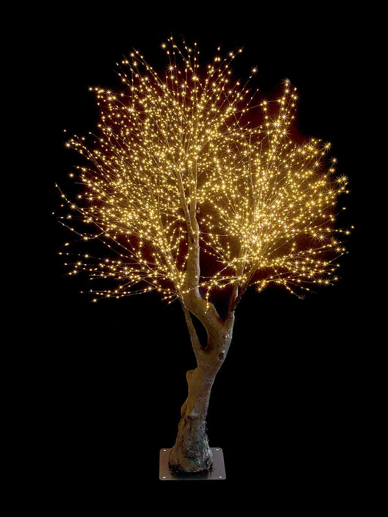 2.1M Black Tree with 3072 Twinkling Warm White LEDs