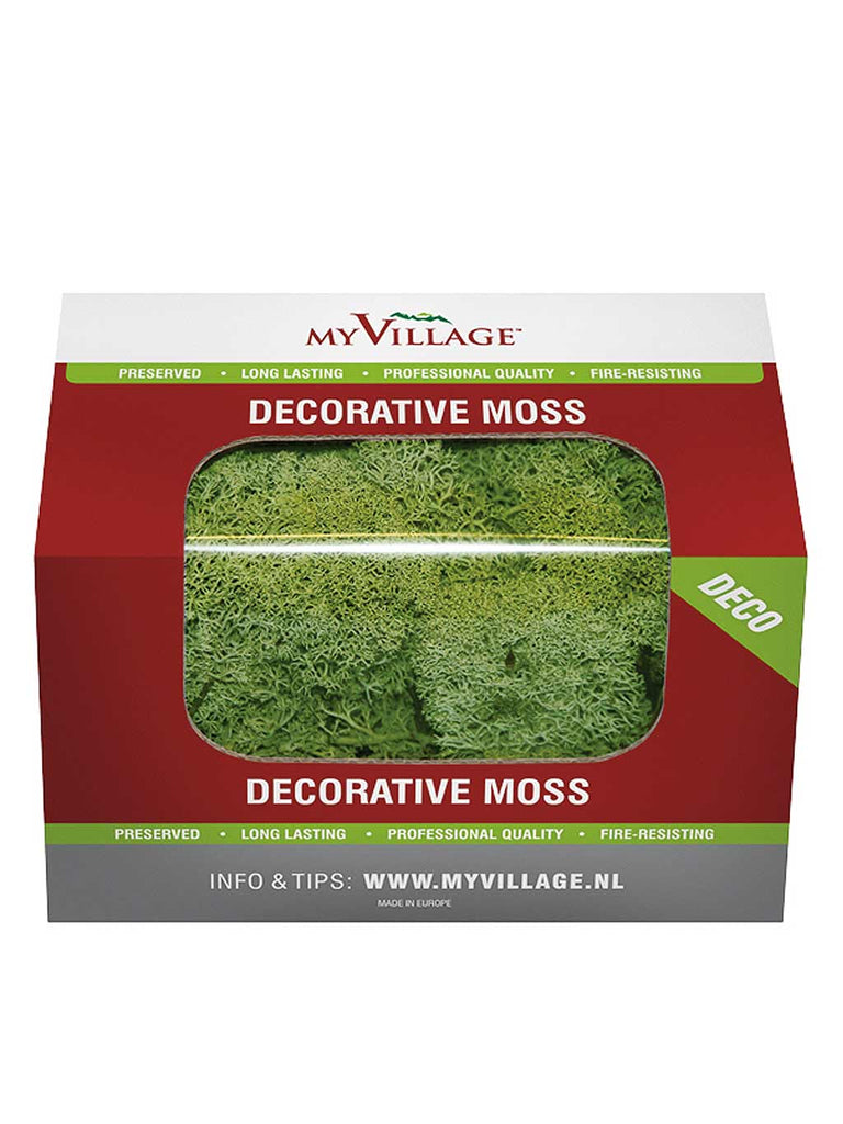 Green Reindeer Moss 50G