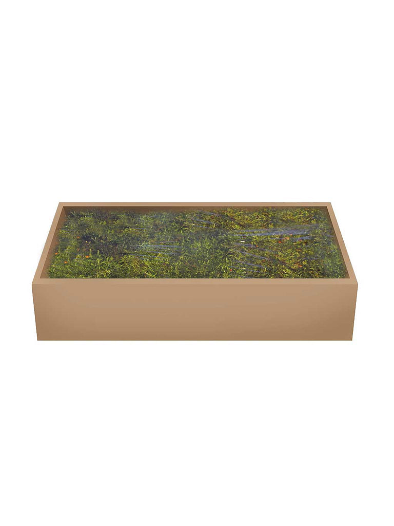 Flat Green Moss 500G