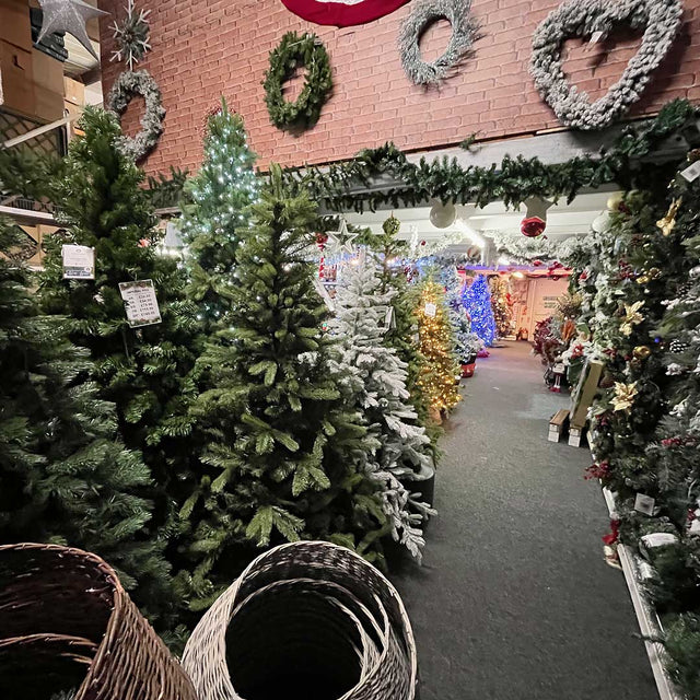 Christmas Trees and Tree bases