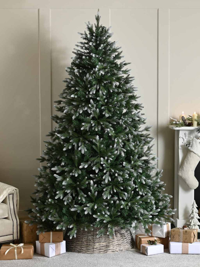 1.8M (6ft) Frosted Belvedere Pine Tree