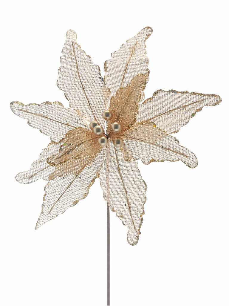 51cm Ivory Poinsettia with Gold Glitter Stem