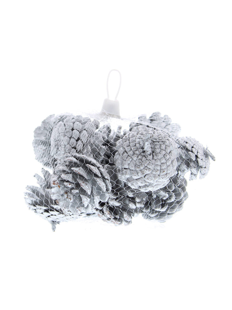 200g Silver Pinecones in Bag