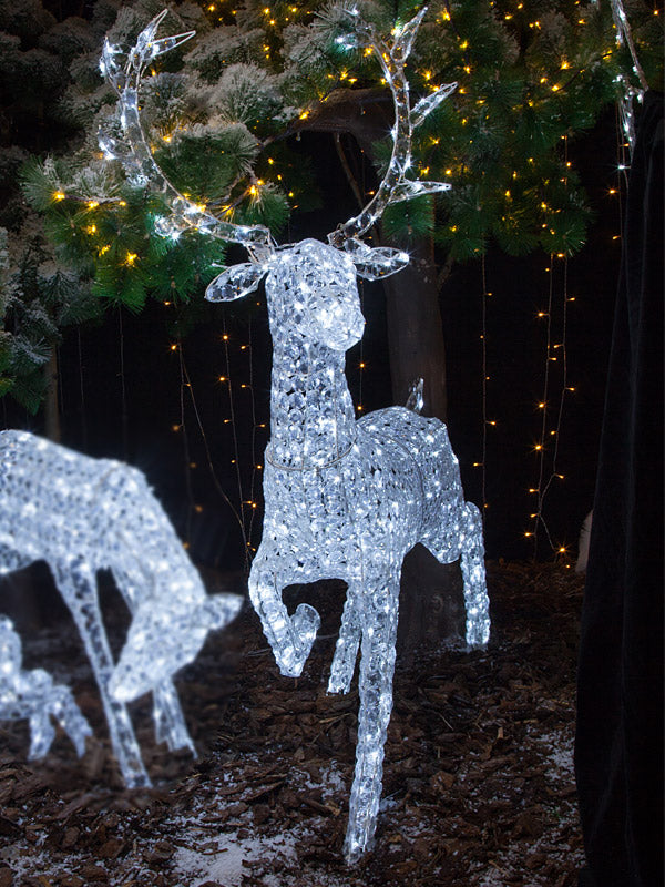 1.4M Jewelled Stag With 300 LEDs