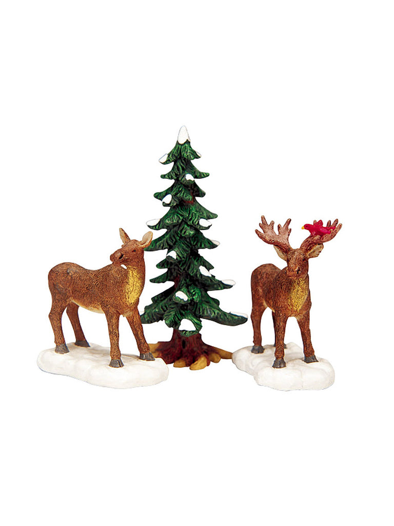 Mr & Mrs Moose, Set of 3