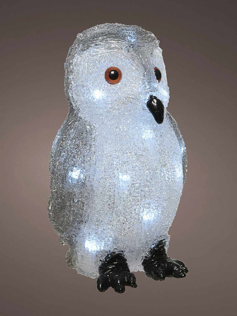 21cm x 20 LED Battery Operated Acrylic Owl - White