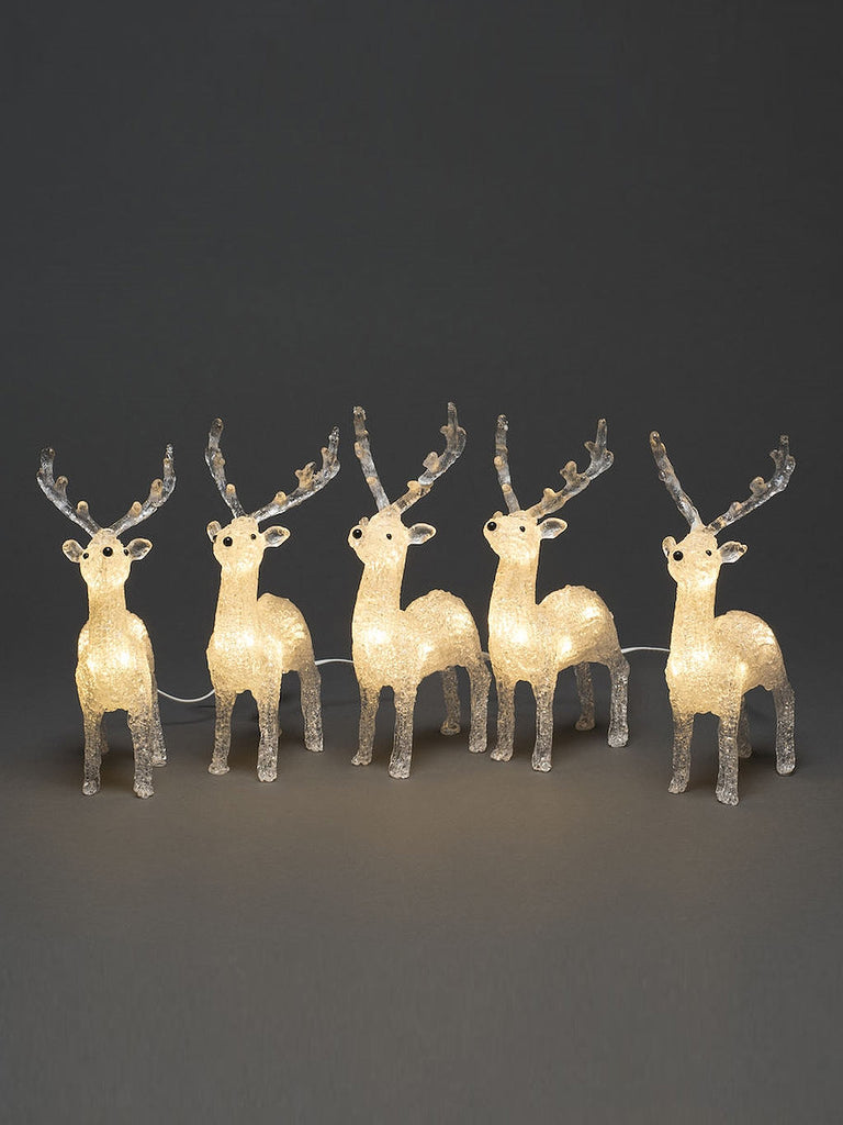 Set of 5 LED Acrylic Reindeer 