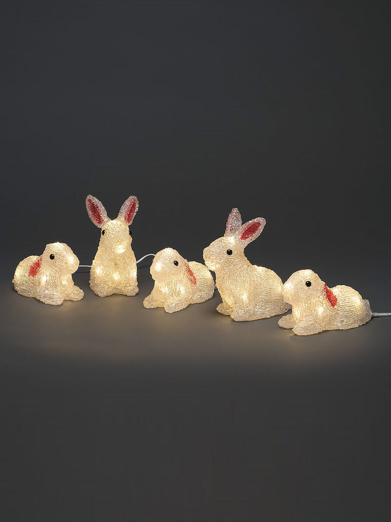 Acrylic Rabbits 5pcs/Set LED