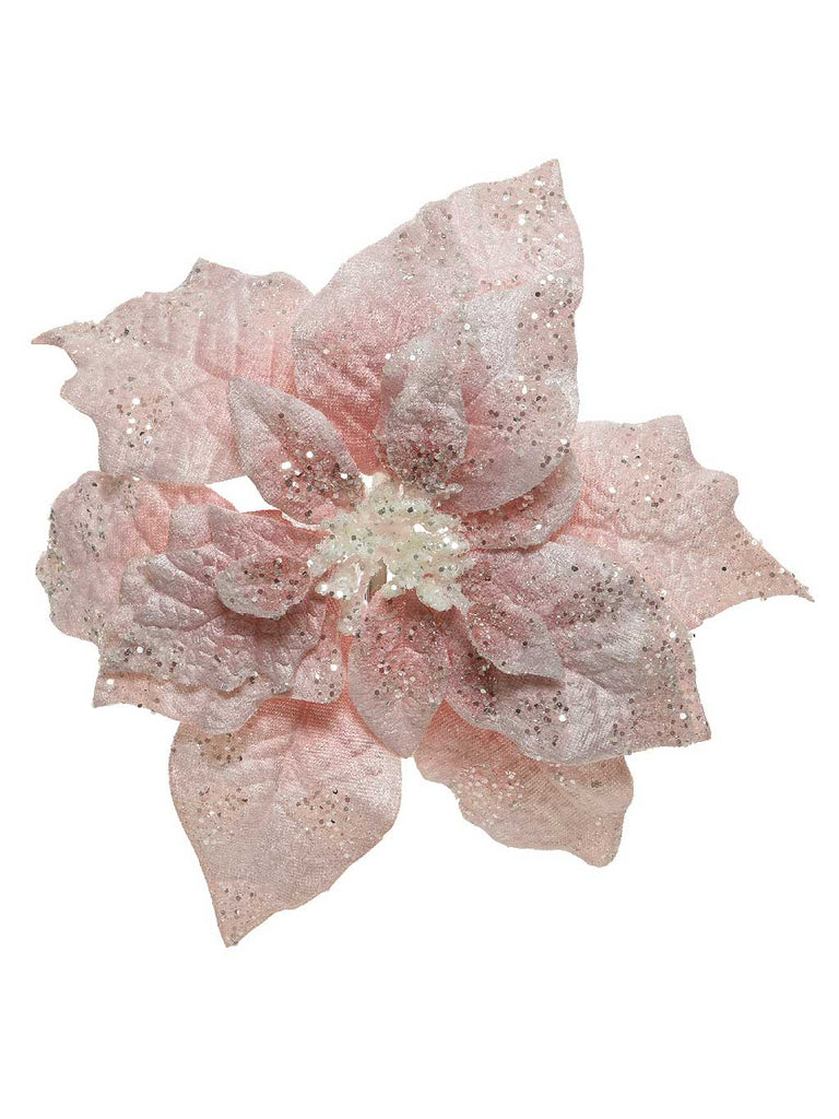 16cm Velvet Poinsettia On Clip with Glitter Finish - Pink 