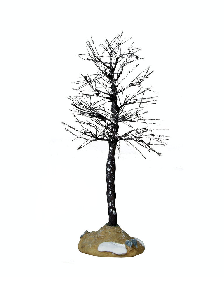 Snow Queen Tree, Small